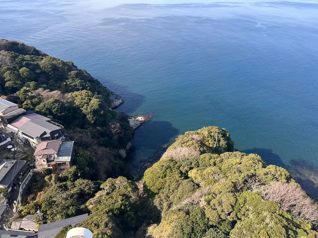 a green coastline over blue water