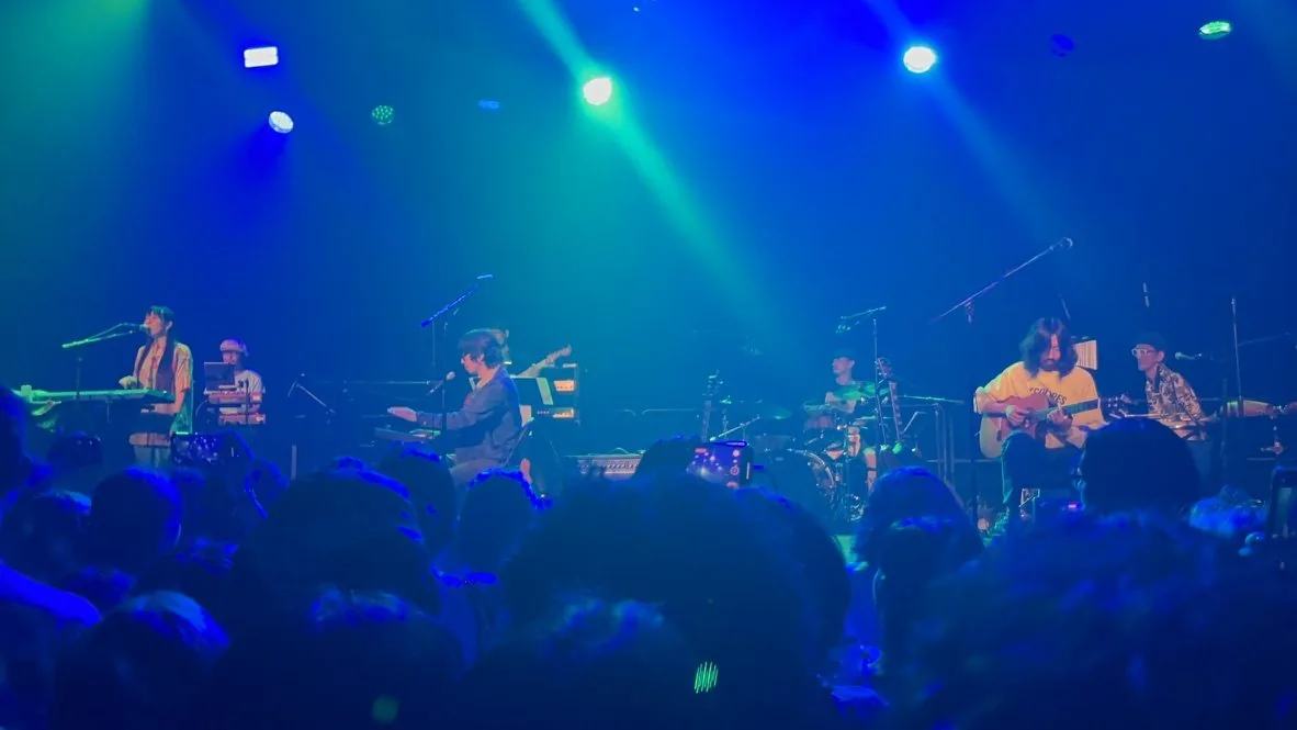 lamp playing live