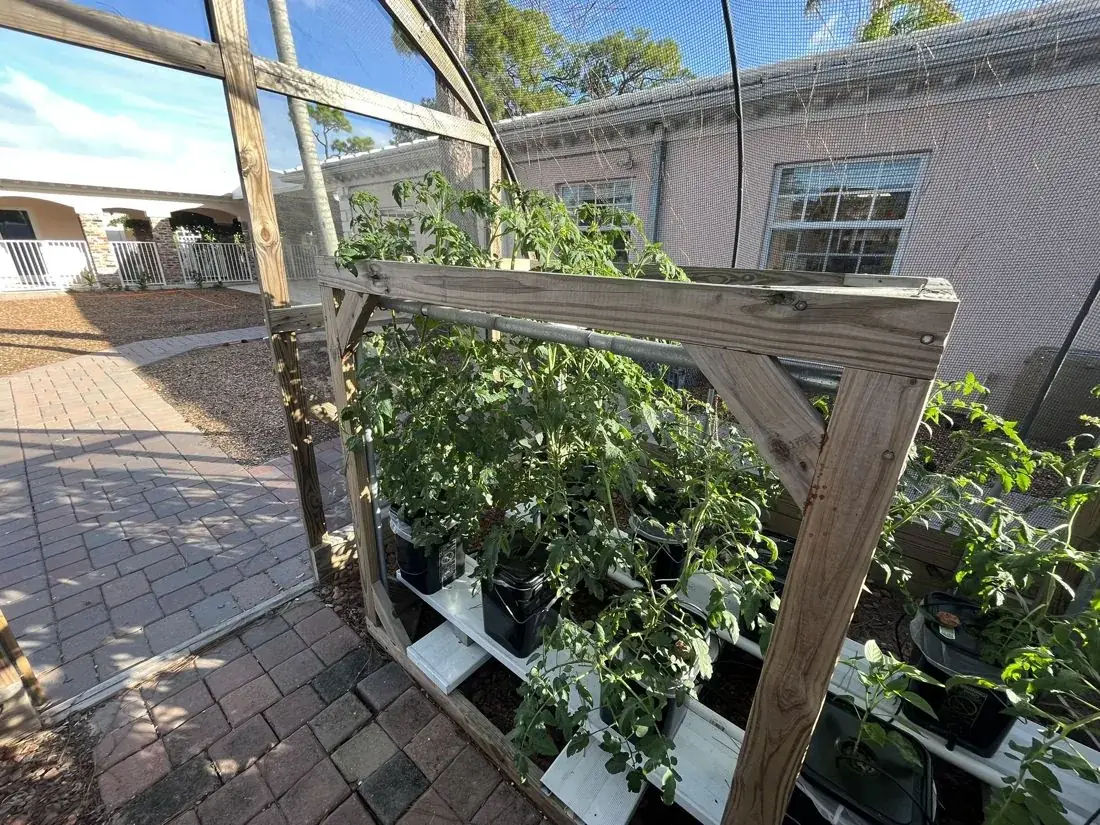the hoop house farm