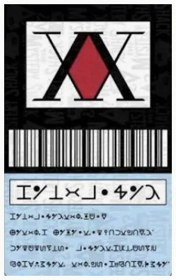 a hunter license from hunter x hunter